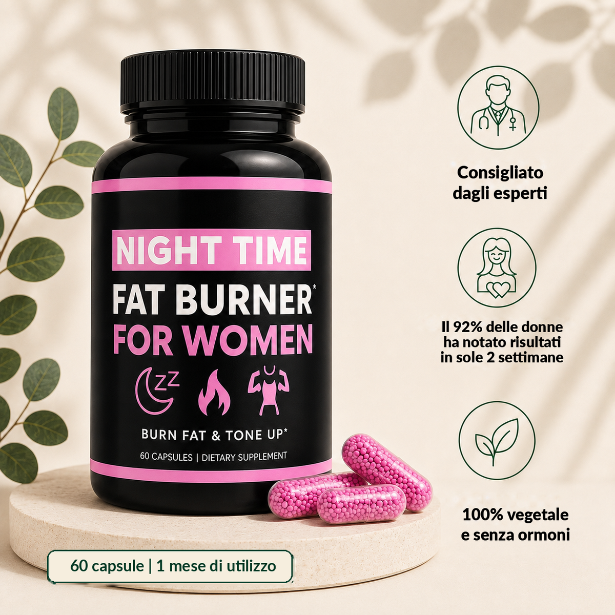 Capsule Metabolismo