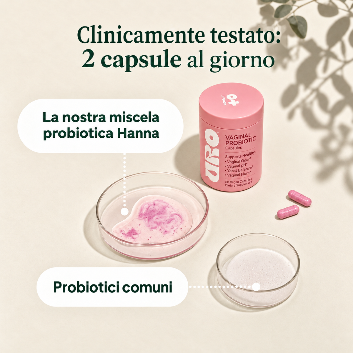Fermenti Lattici Donna – 4 Ceppi di Lactobacillus – Capsule Vegane – Hanna V-Balance